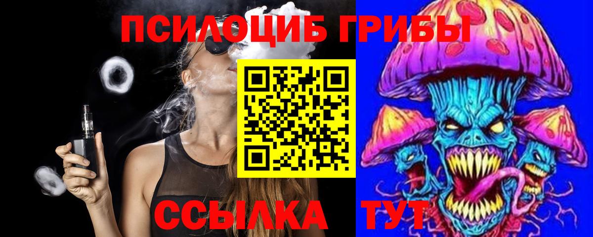 Псилоцибиновые грибы мицелий  Вход с VPN  Осинники 